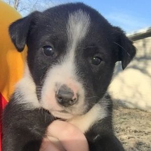 Meet your Posher, Haylyn